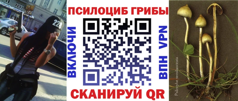 Псилоцибиновые грибы GOLDEN TEACHER  omg зеркало  Шарья  дарнет шоп 