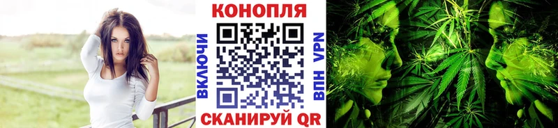 Конопля гибрид  купить наркоту  Шарья 